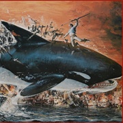 Killer Whale - Orca