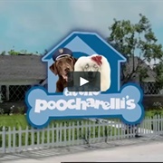 At the Poocharelli&#39;s