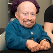 Verne Troyer