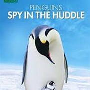 Penguins: Spy in the Huddle (TV Series)