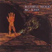 Big Sleep - Bluebell Wood