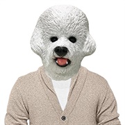 Bichon Frise Costume