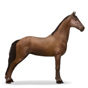 Tennessee Walker