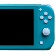 Switch Lite