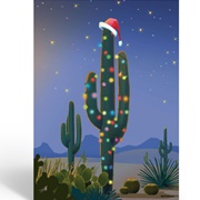 Saguaro