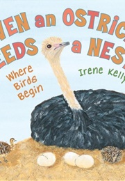 Even an Ostrich Needs a Nest: Where Birds Begin (Kelly, Irene)