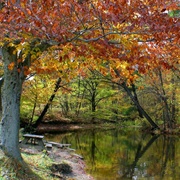 Findley State Park, Ohio