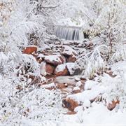 Fresh Fallen Snow on the Ground