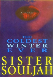 The Coldest Winter Ever (Sister Souljah)