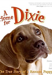 A Home for Dixie (Emma Jackson)