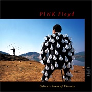 Delicate Sound of Thunder (Pink Floyd, 1988)