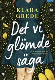 Det Vi Glömde Säga (Klara Grede)