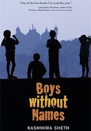 Boys Without Names (Kashmira Sheth)