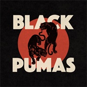 Colors - Black Pumas