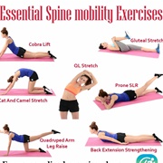 Spine Exercises