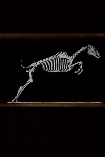 Skeleton of Horse (1881)