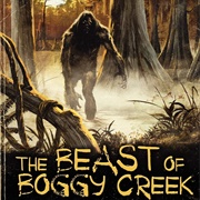 The Beast of Boggy Creek