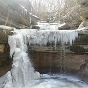 The Starved Rock Murders