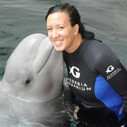 Beluga Whales