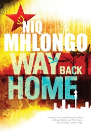 Way Back Home (Niq Mhlongo)