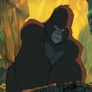 Kerchak