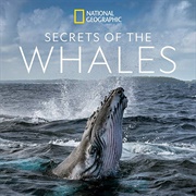 Secrets of the Whales