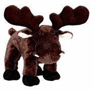 Moose