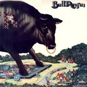 Bull Angus - Bull Angus