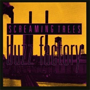 Buzz Factory (Screaming Trees, 1989)