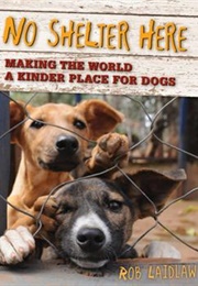 No Shelter Here: Making the World a Kinder Place for Dogs (Rob Laidlaw)