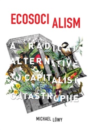 Ecosocialism: A Radical Alternative to Capitalist Catastrophe (Michael Lowy)