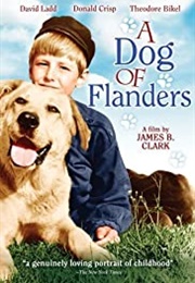 A Dog of Flanders (1960)