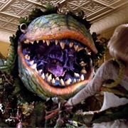 Audrey II - Little Shop of Horrors