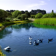 Laguna De Valleseco