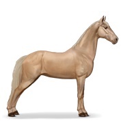 Palomino