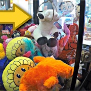 Win a Stuffed Animal