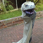 Basilisk Costume