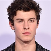 Shawn Mendes (23)