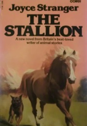 The Stallion (Joyce Stranger)