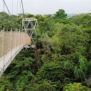 Lekki Conservation Centre, Nigeria