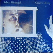 It Was the Night - Robyn Hitchcock