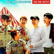 Run, Big Bang Scout!