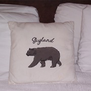 Skyland Lodge