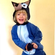 Bluey Costume