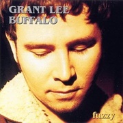 Grant Lee Buffalo- The Hook