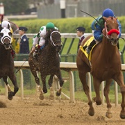 Attend a Big Horse Racing Event