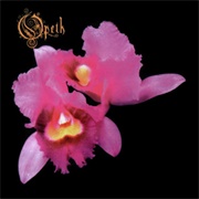 Orchid (Opeth, 1995)