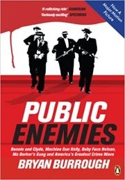 Public Enemies (Bryan Burrough)