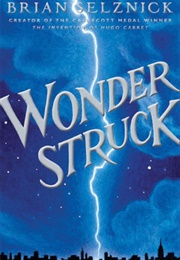 Wonderstruck (Brian Selznick)