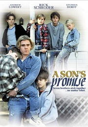 A Son&#39;s Promise (1990)